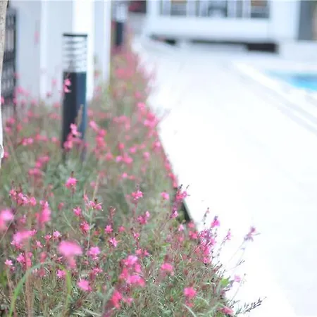 Aparthotel Club Sema